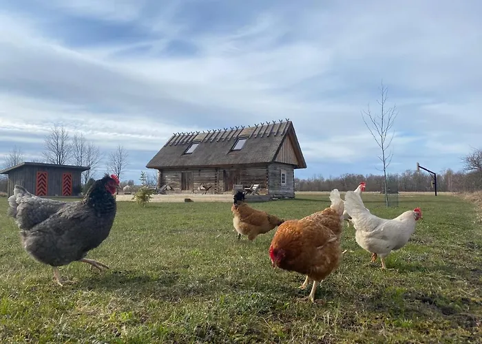 Country house Jaagu-mihkli Muhu Island