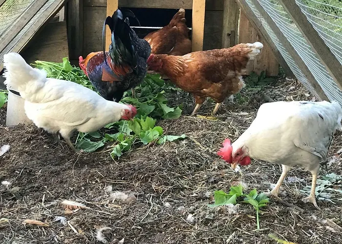 Летний дом Jaagu-mihkli Muhu Island Ridasi