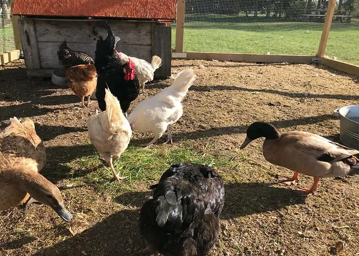 Jaagu-mihkli Muhu Island Country house